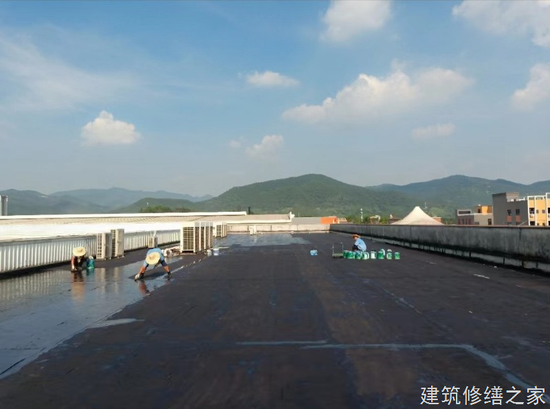 杭州2026余杭区 屋面防水 本地正规资质商家